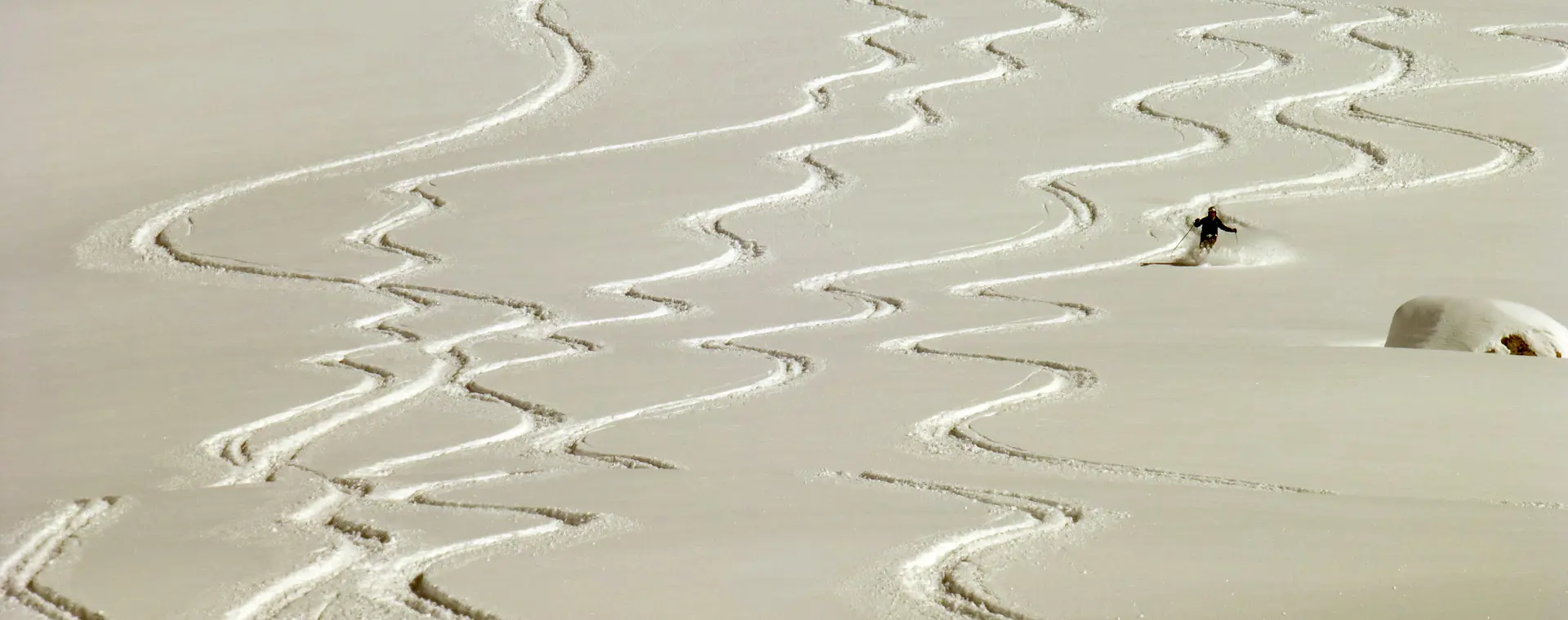 Sapevi che per accedere alle piste devi essere assicurato ? 